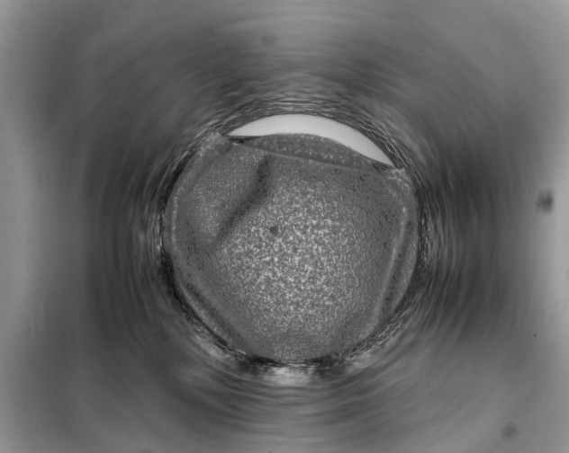 X0000098220232200805081206