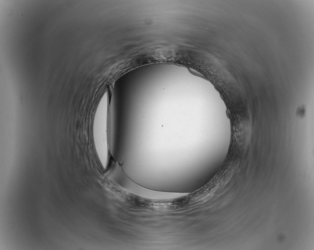 X0000098220233200805081206