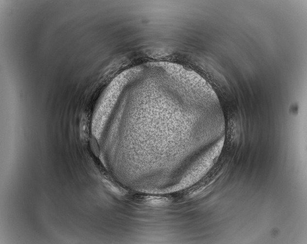 X0000098220234200805081206