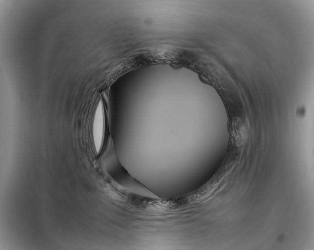 X0000098220235200805081206