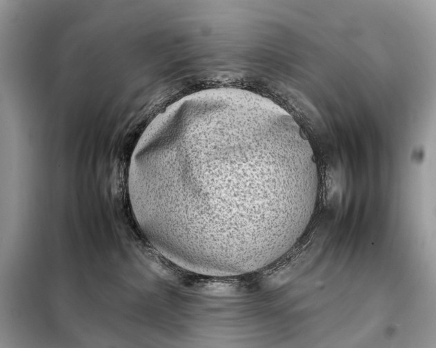 X0000098220236200805081206