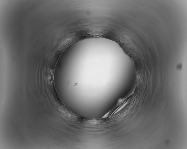 X0000098220237200805081206