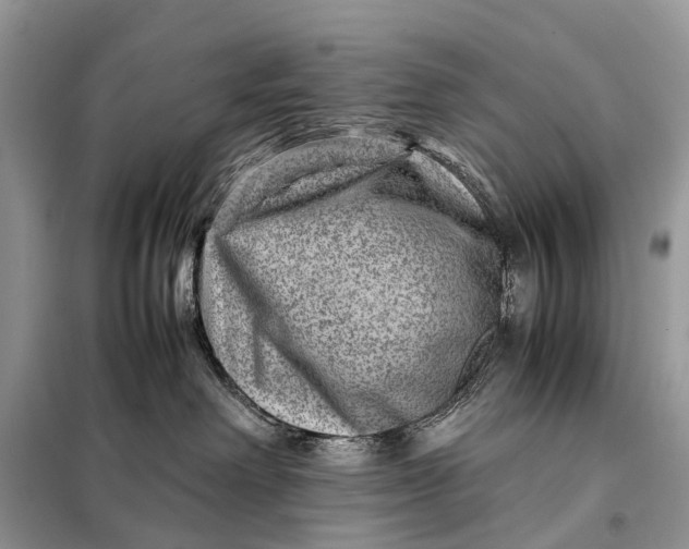 X0000098220238200805081206