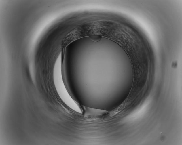 X0000098220239200805081206