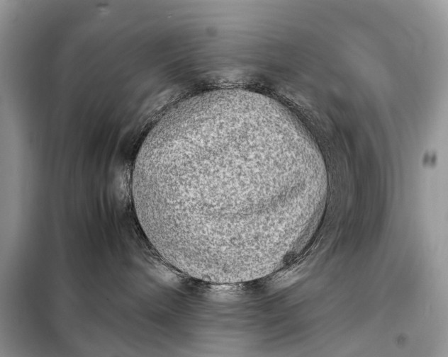 X0000098220240200805081206