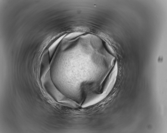 X0000098220241200805081205