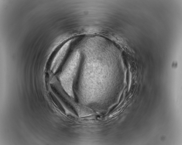 X0000098220242200805081205