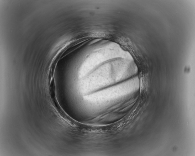 X0000098220243200805081205