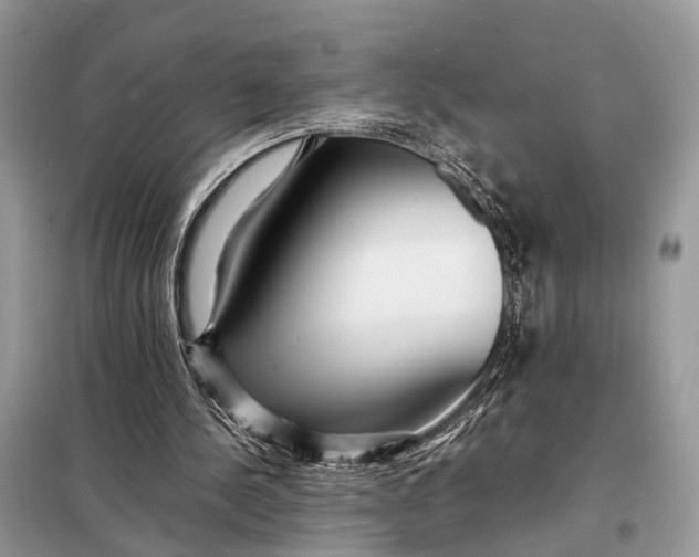 X0000098220244200805081205