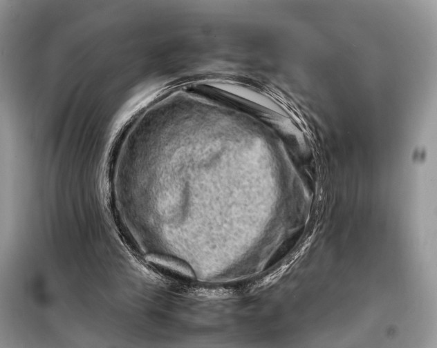 X0000098220245200805081205