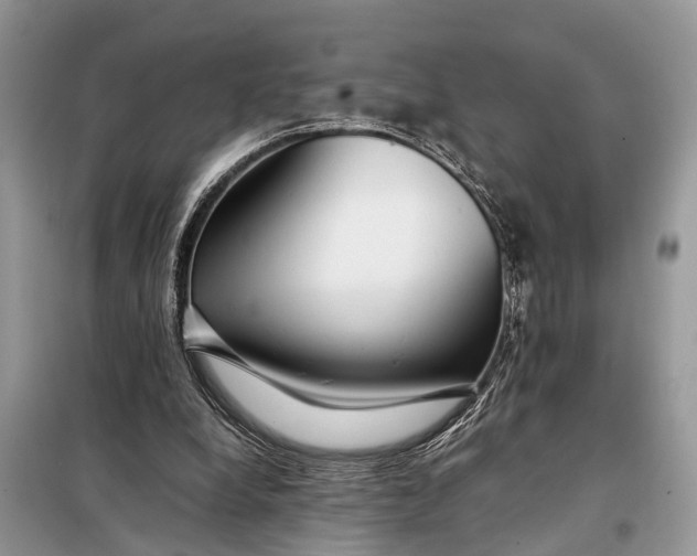 X0000098220248200805081205