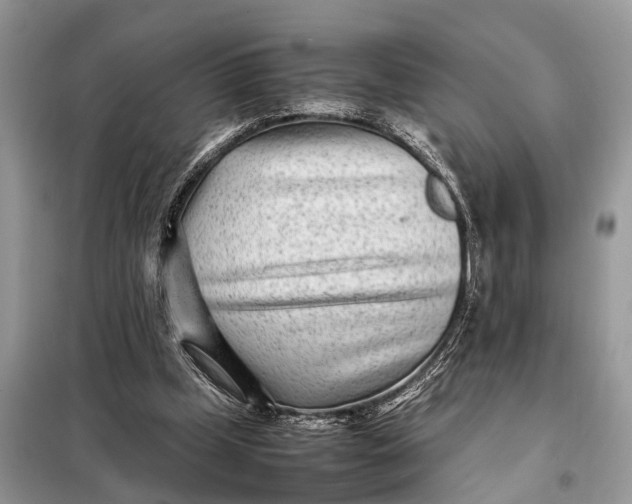 X0000098220249200805081205