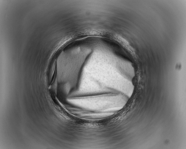 X0000098220250200805081205