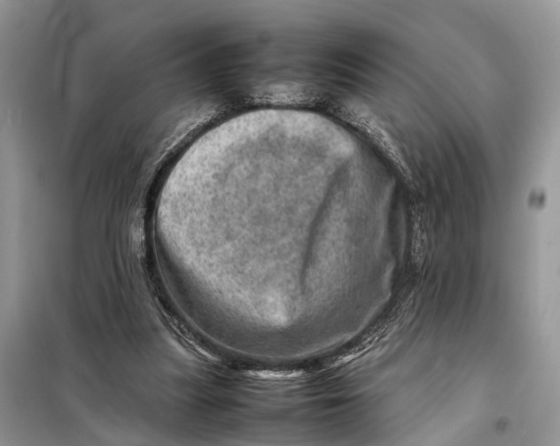 X0000098220251200805081205