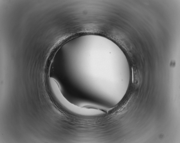 X0000098220252200805081205