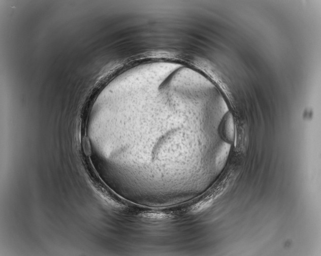 X0000098220253200805081205