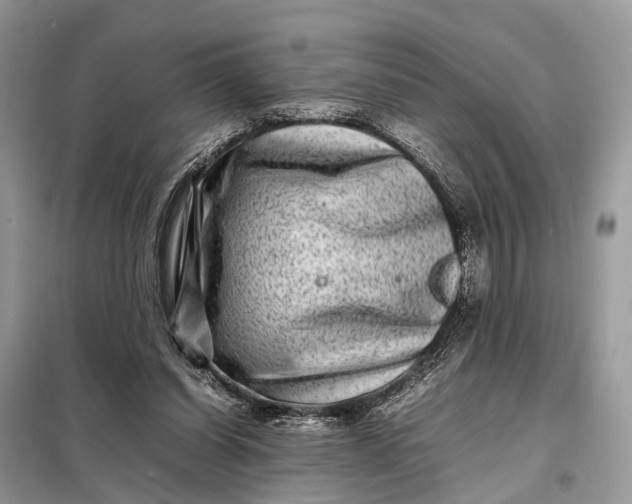 X0000098220254200805081205