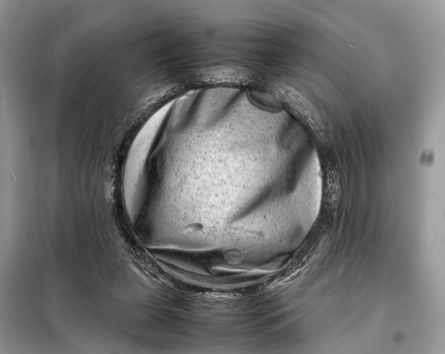 X0000098220255200805081205