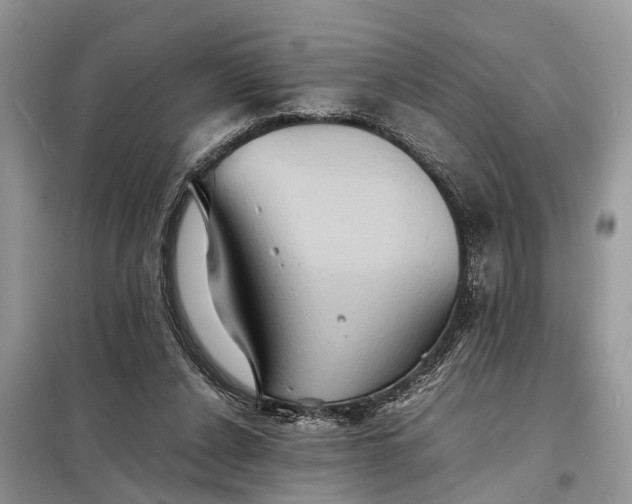 X0000098220256200805081205