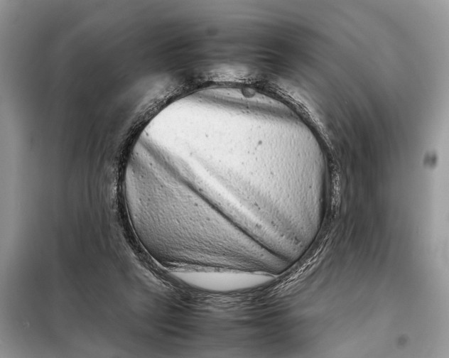 X0000098220257200805081205