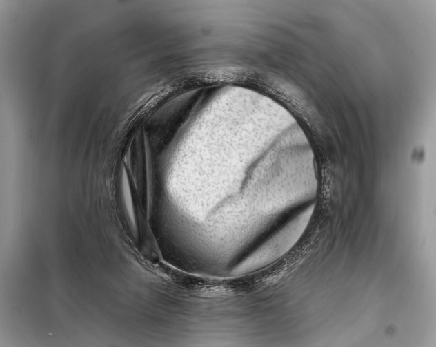 X0000098220258200805081205