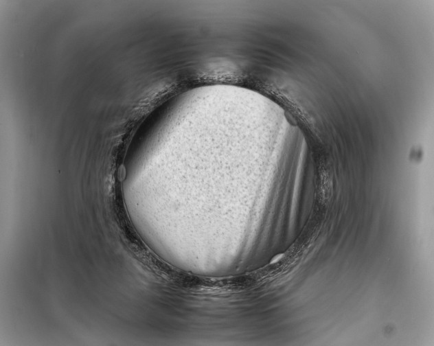 X0000098220259200805081205