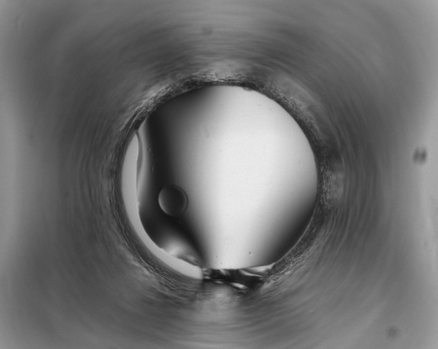 X0000098220260200805081205