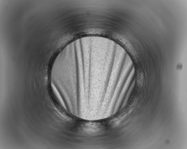 X0000098220261200805081205