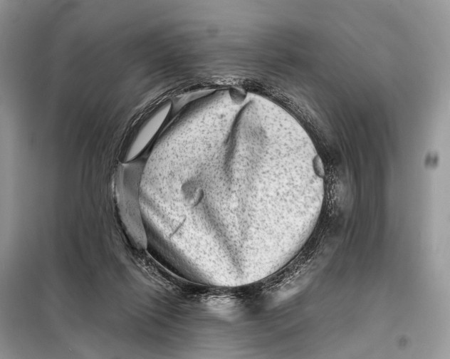 X0000098220262200805081205