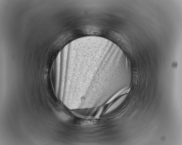 X0000098220263200805081205