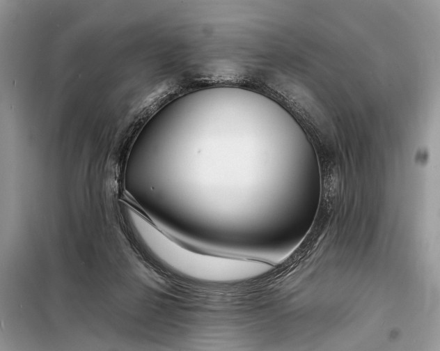 X0000098220264200805081205