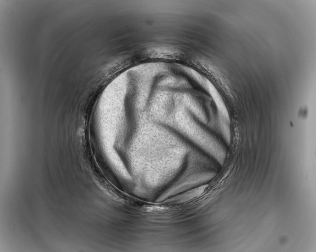 X0000098220265200805081205