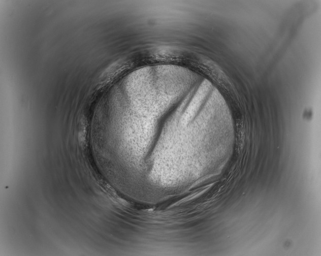 X0000098220266200805081205