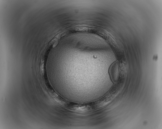 X0000098220267200805081205