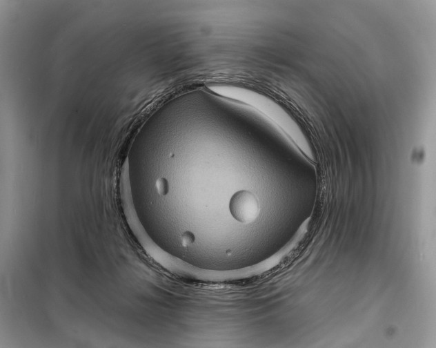 X0000098220268200805081205