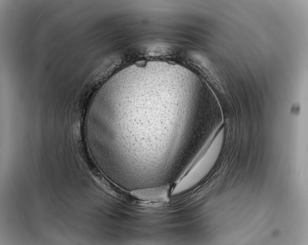 X0000098220269200805081205