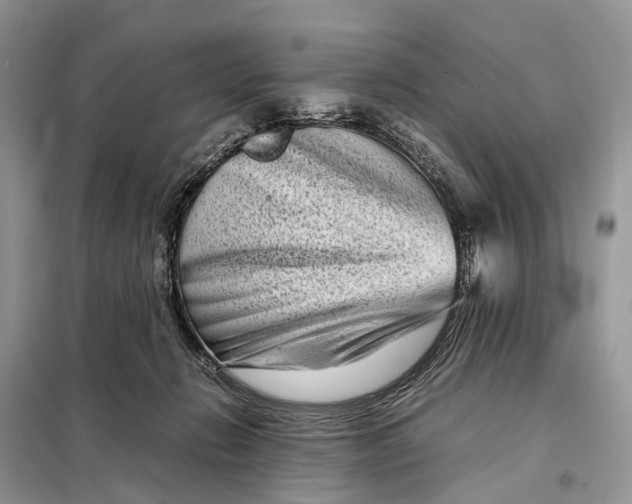 X0000098220270200805081205