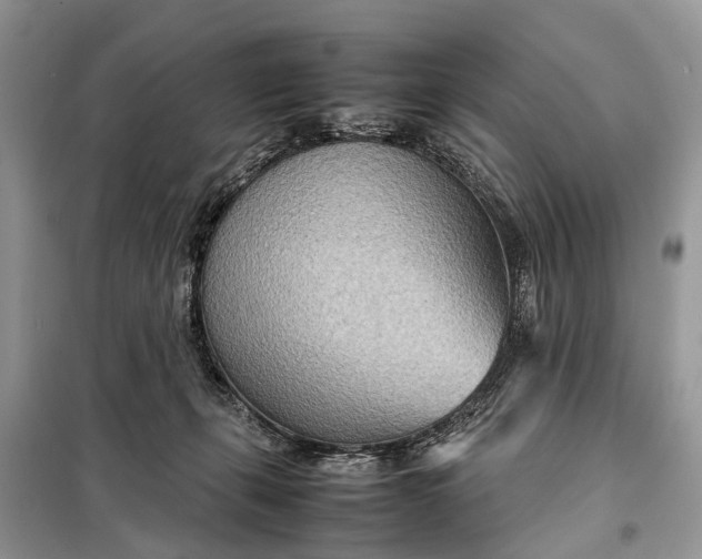 X0000098220271200805081205