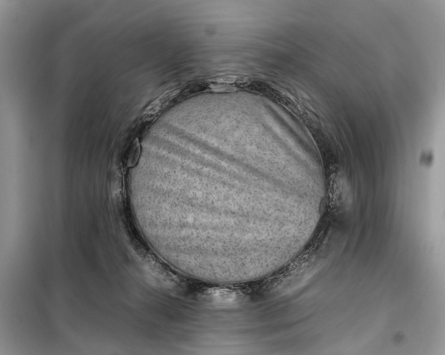 X0000098220272200805081205