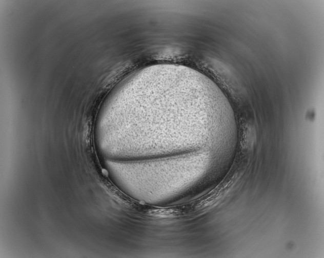 X0000098220273200805081205