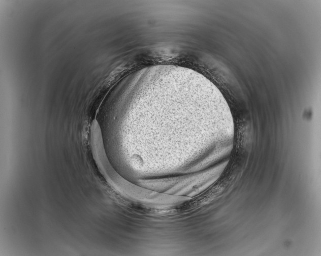 X0000098220274200805081205