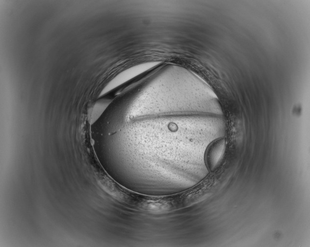 X0000098220275200805081205