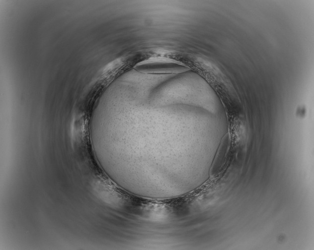 X0000098220276200805081205