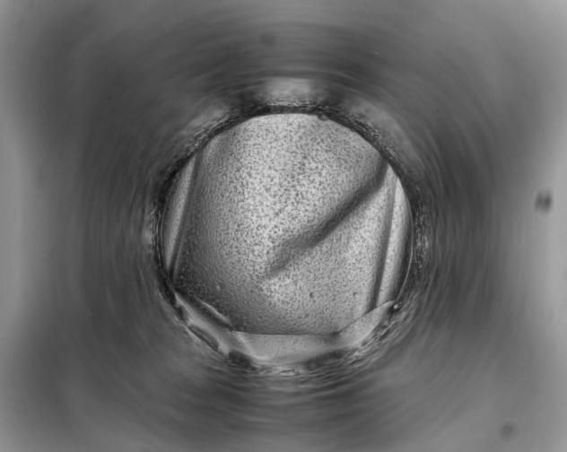 X0000098220277200805081205