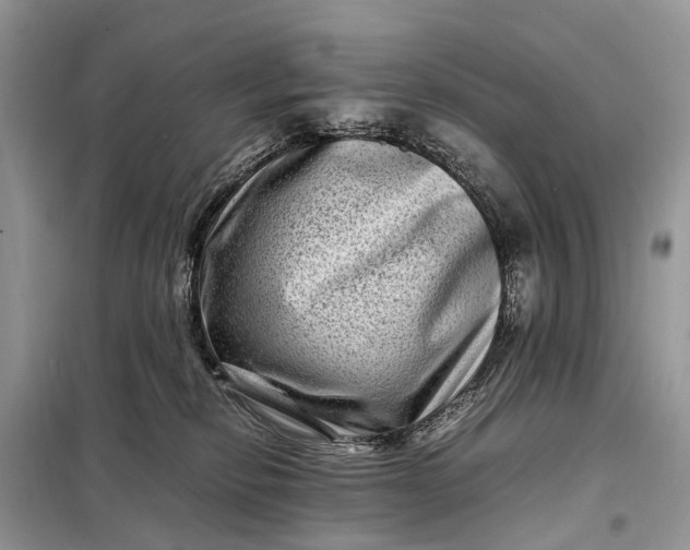 X0000098220278200805081205