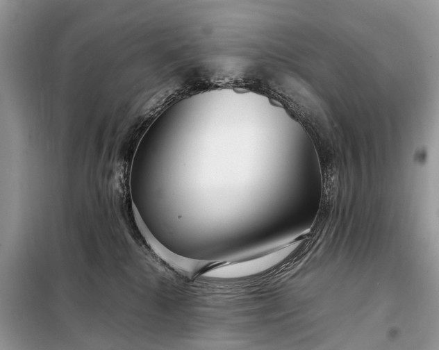 X0000098220280200805081205