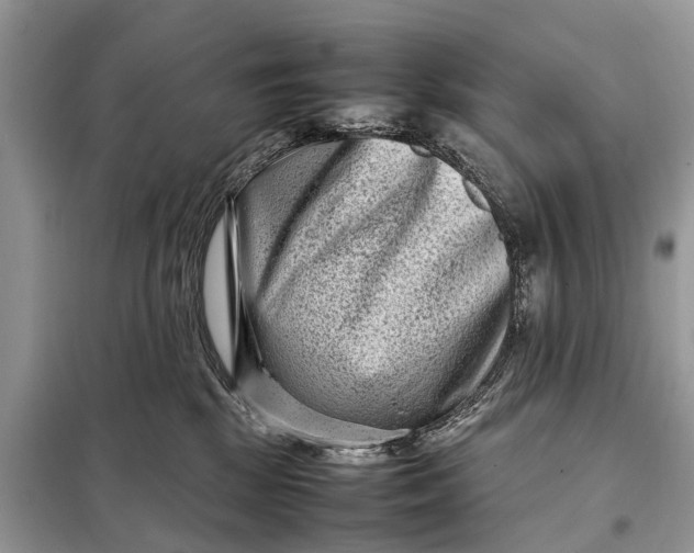 X0000098220281200805081205