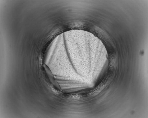 X0000098220282200805081205