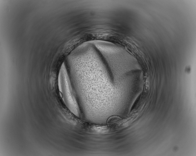 X0000098220283200805081205