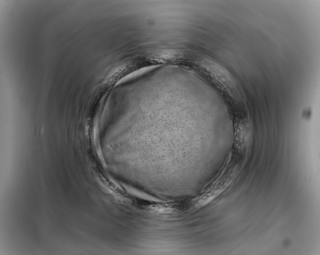 X0000098220284200805081206